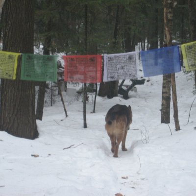 In the ADK mtns...That's just how it works out sometimes...Got a dog too...He's cool w/it.