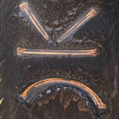 ChaseWa91205343's profile picture. Husband. Father. Rancher.