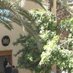 Dutch Embassy Libya (@nlembassylibya) Twitter profile photo Dutch Embassy Libya (@nlembassylibya) Twitter profile photo