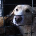 sonia corral aguiler - @kayba83 - Twitter