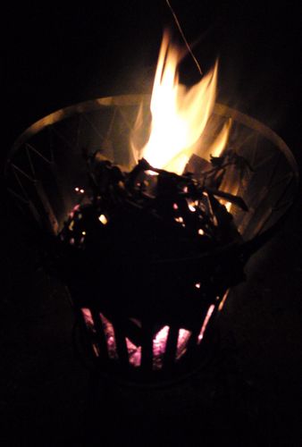 tyglet's profile picture. 