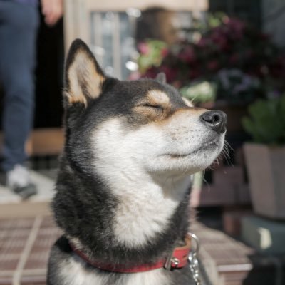 静岡県で紅ほっぺやってます。よろしくお願いします。