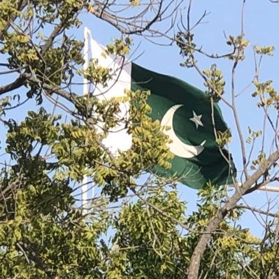 saeedsarwar's profile picture. Diplomacy !!                                                     Likes/RTs not endorsement