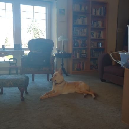 TommyOliver34's profile picture. Hi