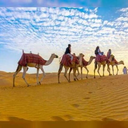 sakr12133's profile picture. 