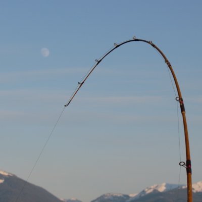 TrailertrashAK's profile picture. ?????????????????????????????