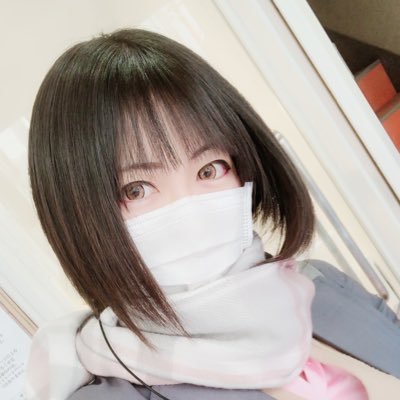 nt_shouko Profile Picture