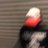 YUNGSEXPIST0L's profile image