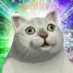 lkm70836899's profile picture. 