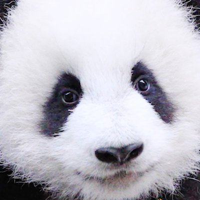 zhangbr2's profile picture. 