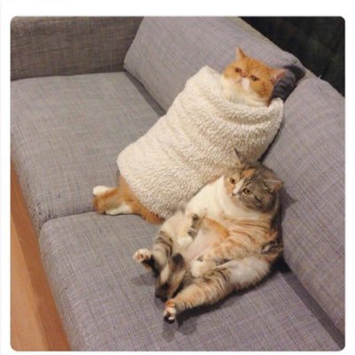 Redsucks3's profile picture. 