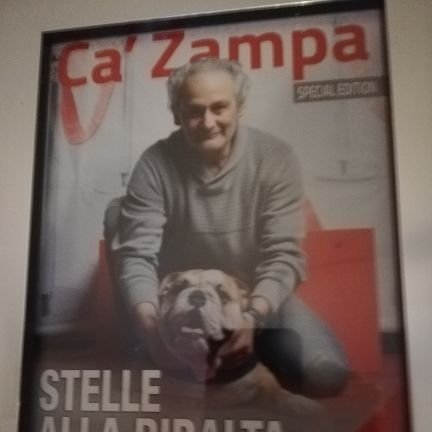 CapelliRosolino's profile picture. 