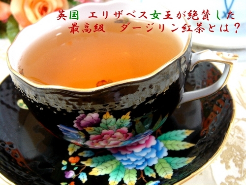 【紅茶専門店　セレクトショップ／京都烏丸錦店　公式Twitter】スタッフのにしきです(^^)　紅茶セレクトショップの最新情報をマイペースでTweetしています。ぜひフォローしてください。
