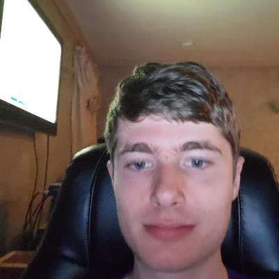 tribessbm's profile picture. long island bird man