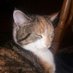 Krzysztof 1961 #Nawrocki2025 #PociągPrawych (@krzyszt48322407) Twitter profile photo