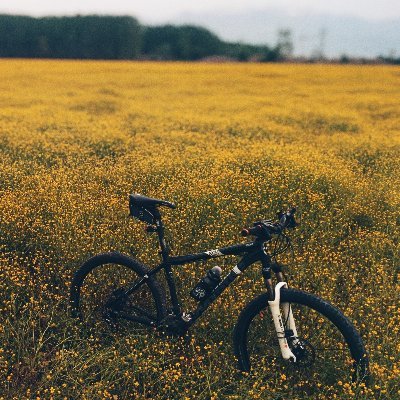 mars1758's profile picture. 