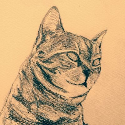 ume_yukki_tst's profile picture. 