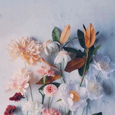 GM8li9MZdMPaMca's profile picture. 