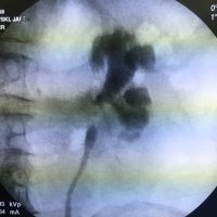 Filip Kowalski (@filipurology) 's Twitter Profile Photo Filip Kowalski (@filipurology) 's Twitter Profile Photo