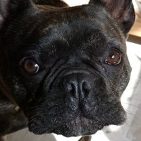 Karen Walker (@khp_oc94) 's Twitter Profile
