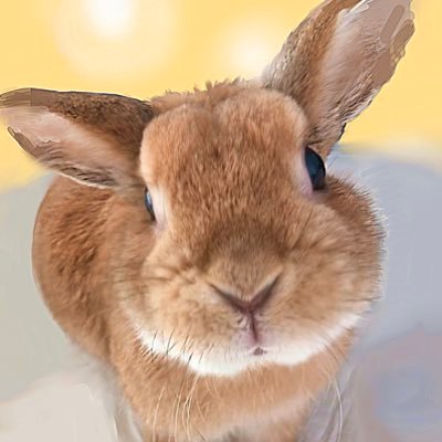 🐰うさぎさんを愛してます💕愛兎のチャロ♂11歳4ヶ月でお月さま組へ🌙初代チャロとカプチーノも🌙  ♡うさぎ雑貨のお店Charoccino♡ BOOTH店 https://t.co/yiCiGHOKjo インスタhttps://t.co/rfCANxL9Ft ※イラストの無断転載禁止