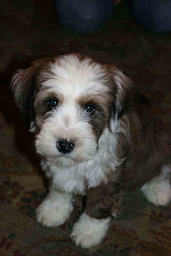 karencoe2's profile picture. Parent, writer, foodie, photography fan, Kindle lover, breadmaker!