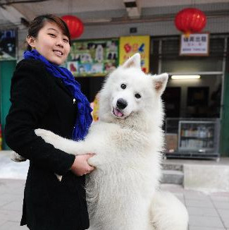 PetsSocialZone's profile picture. Pets Social Zone. Your Pets play zone. Live with pets and find the sceret of them. It is very funny and happiness to do so. :) Plz follow me to get more.