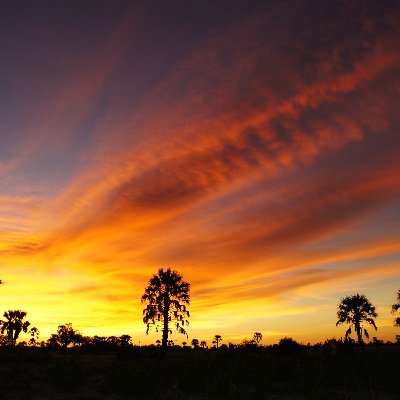 NoBODYexcluded's profile picture. University of Exeter (UK) and University of Namibia project on Disability in Namibia (Religious and Cultural Perspectives)