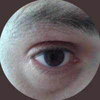 José (@josepgab) 's Twitter Profile