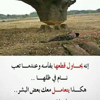 شبل. همدان: بن زيد // (@rpsfkl2wsaw60b1) 's Twitter Profile
