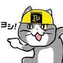 wealwayswithbs's profile picture. ちいかわ（地域の変わり者）🏇