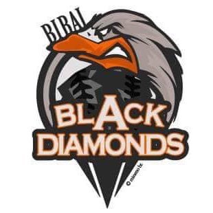 BLKDiamonds_HFL Profile Picture