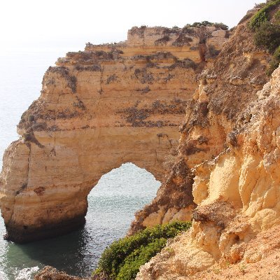 Bionicl94015250's profile picture. 