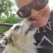 CBDPets62's profile picture. Canadian CBD to help with your Pet's Health. #HealnotHigh  #Cannabinoid #CBDforpainrelief #Health
#CBD #CBDpets #CBDDogs #CBDCats #CBDforanxiety  #CBDoil