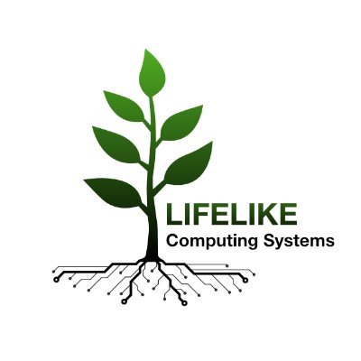 A workshop at ALIFE on lifelike computing systems. https://t.co/YWqMBLkwrN. Continuing the evolution of the SAOS workshop series.