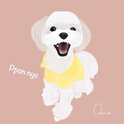 사슴같은 우리집 뽄도령🐶다리가 길어서 주체가 안돼요 // 프사는 골드핸드🤚🏻 봄가을이모❤️