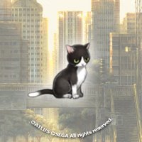 Popo (@netogepopo) 's Twitter Profile