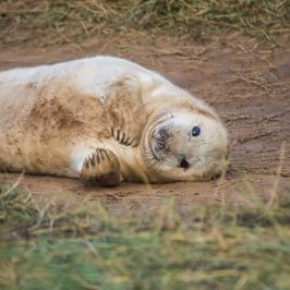 RJDuqt's profile picture. 1997 ｜kyoto