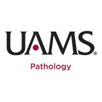 UAMS Pathology(@PathologyUAMS) 's Twitter Profileg
