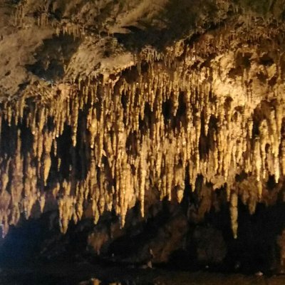 RxhxZTestGhXUKk's profile picture. 