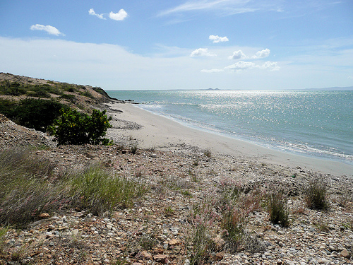 AClaensenada's profile picture. 