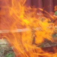 That Burnt Writer (@thatburntwriter) 's Twitter Profile