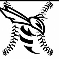 CarterHornetsBaseball (@_carterbaseball) 's Twitter Profile