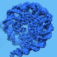 Poepsel Lab(@poepsel_lab) 's Twitter Profile Photo