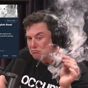 Aiden_Seals2009's profile picture. 