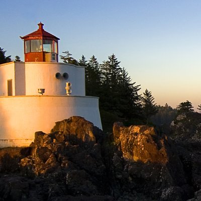 orkasa's profile picture. 