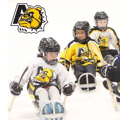 The Bulldogs Inclusive Para Hockey Program brings kids with and without disabilities together to play sledge hockey and get all the benefits of sport together.