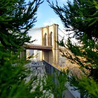 dig de guelle (@digdeguelle) 's Twitter Profile