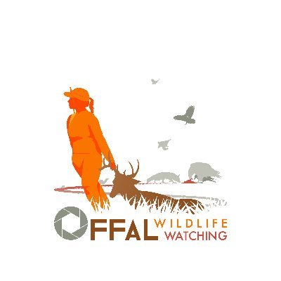 A research and participatory science project to understand how hunter provided offal affects wild food webs. We want to know what's eating your guts!