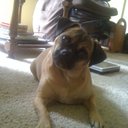 Sam Theis - @SJT232 - Twitter